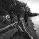 Nick Yacyshyn, Brian Cook, and Aaron Turner of Sumac (Photo: Faith Coloccia)